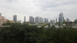 The Imperial (D9), Condominium #199453932